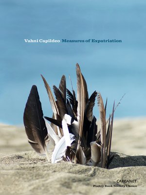 cover image of Measures of Expatriation